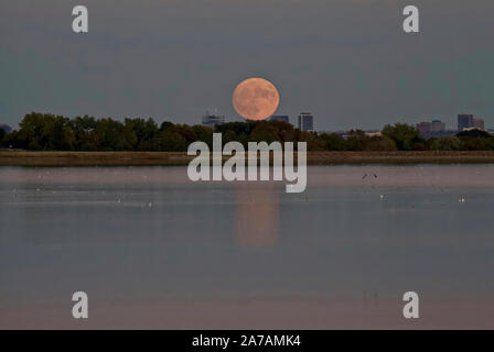 Full moon rising above the Denver, Colorado skyline at night Stock ...