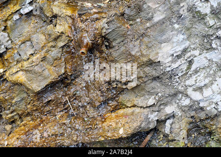 Surface of rocks wall with water flowing.  Clear water flows from the rock, for convenience, people in Tbilisi installed a plastic bottle for the conv Stock Photo