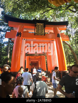 The torii gates of Fushimi Inari Taisha, Japan.  Fushimi Inari-taisha (伏見稲荷大社) is the head shrine of the kami Inari, located in Fushimi-ku, Kyoto. Stock Photo