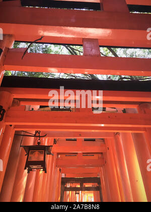 The torii gates of Fushimi Inari Taisha, Japan.  Fushimi Inari-taisha (伏見稲荷大社) is the head shrine of the kami Inari, located in Fushimi-ku, Kyoto. Stock Photo