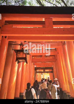 The torii gates of Fushimi Inari Taisha, Japan.  Fushimi Inari-taisha (伏見稲荷大社) is the head shrine of the kami Inari, located in Fushimi-ku, Kyoto. Stock Photo