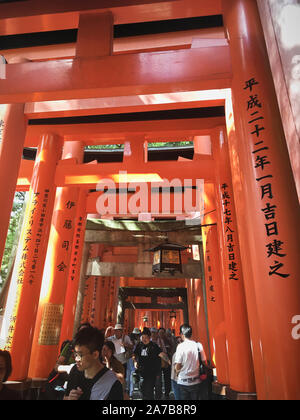 The torii gates of Fushimi Inari Taisha, Japan.  Fushimi Inari-taisha (伏見稲荷大社) is the head shrine of the kami Inari, located in Fushimi-ku, Kyoto. Stock Photo