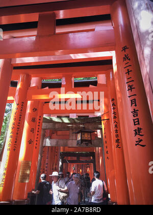 The torii gates of Fushimi Inari Taisha, Japan.  Fushimi Inari-taisha (伏見稲荷大社) is the head shrine of the kami Inari, located in Fushimi-ku, Kyoto. Stock Photo