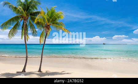 Caribbean sunny beach with palm trees Stock Photo