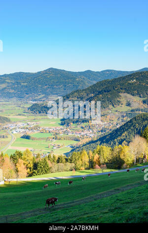 Teufenbach-Katsch: valley of river Mur, meadow, cows, nature park Zirbitzkogel-Grebenzen in Austria, Steiermark, Styria, Murau-Murtal Stock Photo