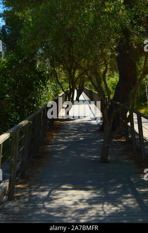 Albuvera de Mallorca. Natural reserve in Can Picafort. Stock Photo