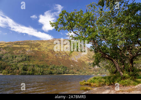 Llyn Gwynant in Snowdonia, North Wales on a sunny summer's day Stock Photo