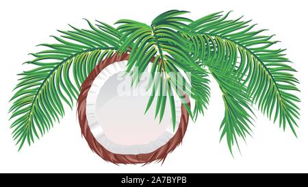 Detailed illustration of tasty coconut half with palm leaves background. Stock Vector
