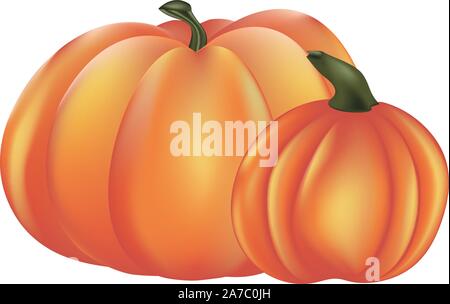 Big ripe orange pumpkin detailed illustration on white background. Stock Vector