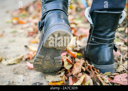 Women's boots on fallen autumn leaves. Stock Photo