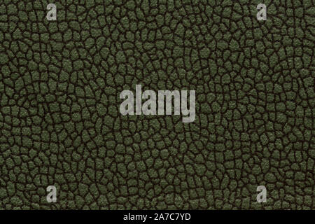 Saturated dark olive textile background. High quality texture in extremely high resolution. Stock Photo