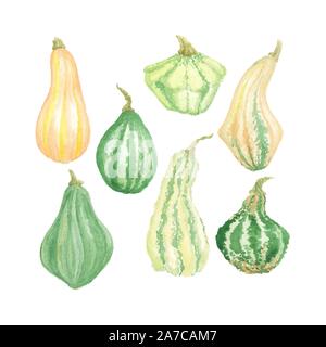 Vector Watercolor hand drawn pumpkin set green and yellow ripe autumn harvest season or Thanksgiving clipart, collection of painted vegetables isolate Stock Vector