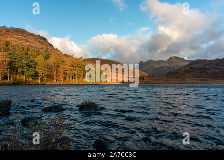 Beautiful and moody morning fall light at Blea Tarn in the English Lake District with views of the Langdale Pikes, and Side Pike during autumn. Stock Photo