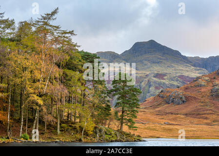 Beautiful and moody morning fall light at Blea Tarn in the English Lake District with views of the Langdale Pikes, and Side Pike during autumn. Stock Photo