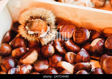 Chestnuts for frying in a drawer on a store counter Stock Photo