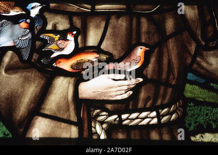 Close-up detail of stained glass window depicting St Francis preaching to the birds in St. Mary's Church, Selborne, Hampshire, UK.  Alexander Gascoyne Stock Photo