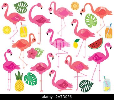 Vector Collection of Flamingos, Tropical Leaves, Fruit and Summery Drinks Stock Vector