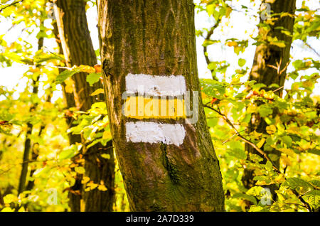 Trail marker with white and yellow stripes painted on a tree trunk in the forest. Information sign giving direction for the hikers on a hiking trail. Trailblazing, waymarking for tourists. Stock Photo