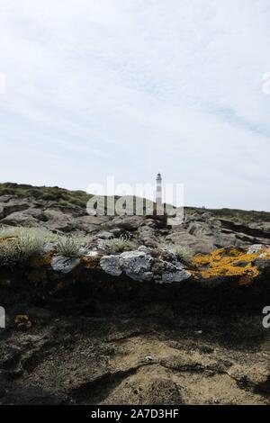 Tarbat Ness Lighthouse, Easter Ross Stock Photo