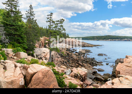 Acadia National Park. The coastline near Thunder Hole in Acadia National Park, Maine, USA Stock Photo