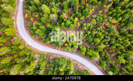 Aerial view of a winding road in the Pacific Northwest forest in autumn in Oregon Stock Photo