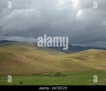 Late Spring in Southwestern Idaho: Lone Horse Grazes as Dark Skies Loom Stock Photo