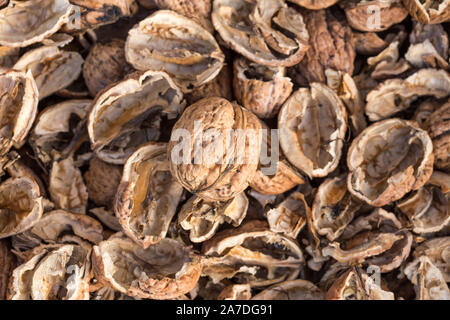 Cracked walnut shells with one complete walnut in the middle. Pieces of nutshells. Nutshell texture. Stock Photo