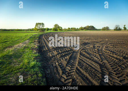 Traces of tractor wheels in a plowed field, horizon and blue sky Stock Photo