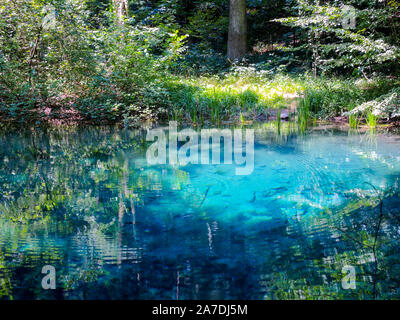 nature beauty turquoise crystal clear lake in romania ochiul bei lake Stock Photo
