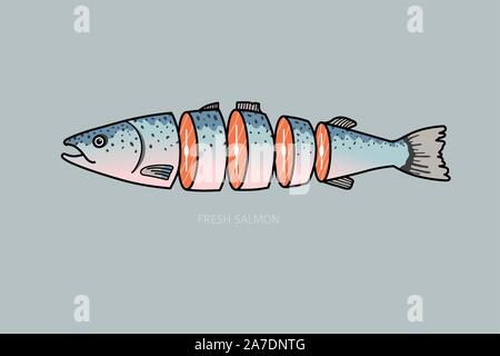 Cut salmon vector.illustration.sliced pieces of steaks. Fresh fish from sea, orange fillet. Gourmet meal in cartoon style. Stock Vector