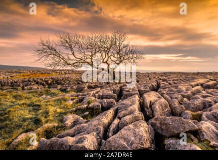 Scar End is a settlement on the side of Twistleton Scar in the English county of North Yorkshire. It is surrounded by Ingleborough and Whernside 2 of Stock Photo