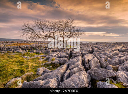 Scar End is a settlement on the side of Twistleton Scar in the English county of North Yorkshire. It is surrounded by Ingleborough and Whernside 2 of Stock Photo