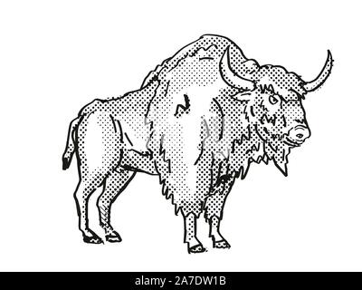 Retro cartoon style drawing of an Ancient Bison, an extinct North American wildlife species on isolated background done in black and white full body. Stock Photo