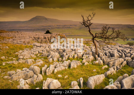 Scar End is a settlement on the side of Twistleton Scar in the English county of North Yorkshire. It is surrounded by Ingleborough and Whernside 2 of Stock Photo