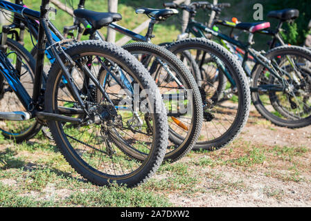 Variety of bicycles offered for rent are in the parking lot. View on the wheels of bicycles in row. Bicycles stand in a row on a parking for rent. Stock Photo