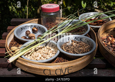 Selection of Indonesian spices, Bali, Indonesia, Southeast Asia, Asia Stock Photo