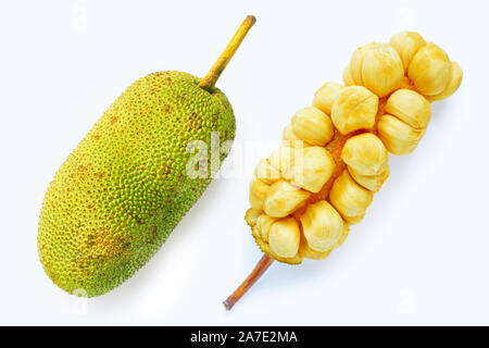 Champedak fruit on white background. Stock Photo