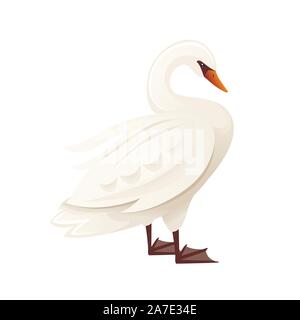 White swan largest flying bird swim on water cartoon animal design flat vector illustration isolated on white background. Stock Vector