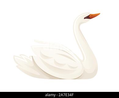 White swan largest flying bird swim on water cartoon animal design flat vector illustration isolated on white background. Stock Vector
