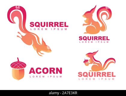 Set of squirrel vector logo design squirrel with acorn flat vector illustration isolated on white background. Stock Vector