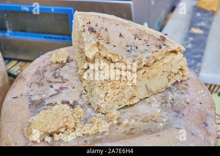 Casu Marzu, sardinian cheese with larvae of Piophila Casei Stock Photo