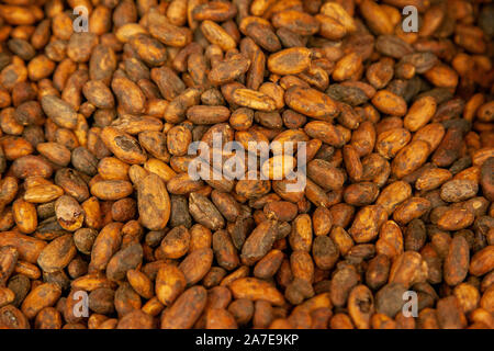 group of brown and yellow raw cacao beans Stock Photo