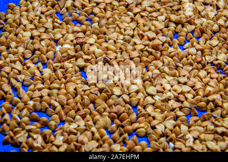 Buckwheat on the blue background Stock Photo