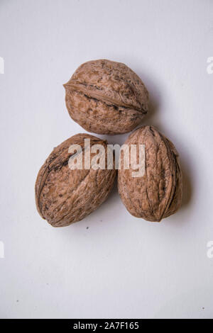 Three dry walnuts on white background, isolated food concept, shell Stock Photo