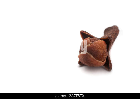 Macro shot of a clove on white background Stock Photo