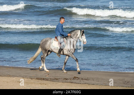 Man riding horse on the beach Stock Photo