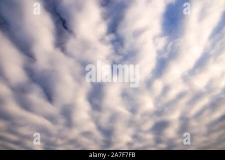 Stratocumulus clouds forming a wave like pattern in the sky Stock Photo