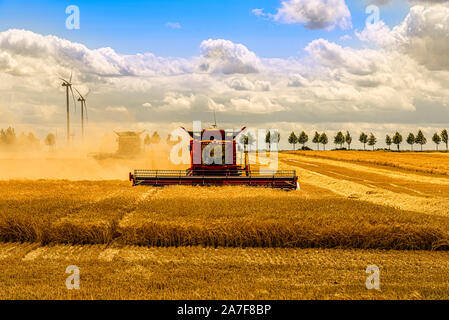 Large combine harvester mowing a cereal field Stock Photo