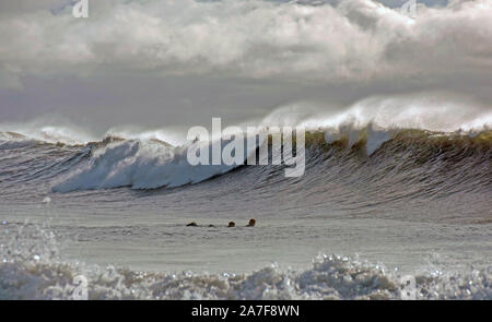 Swansea, UK. 02nd Nov, 2019. Huge waves at Langland Bay near Swansea this morning which were generated by the stormy weather which battered South Wales last night. Credit: Phil Rees/Alamy Live News Stock Photo