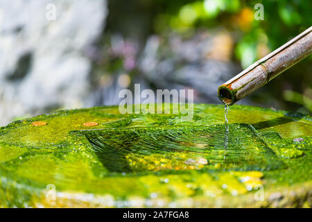Water fountain flowing from bamboo wooden tube into stone rock basin in Kyoto Japanese garden of Holland park in London, UK with green moss color Stock Photo